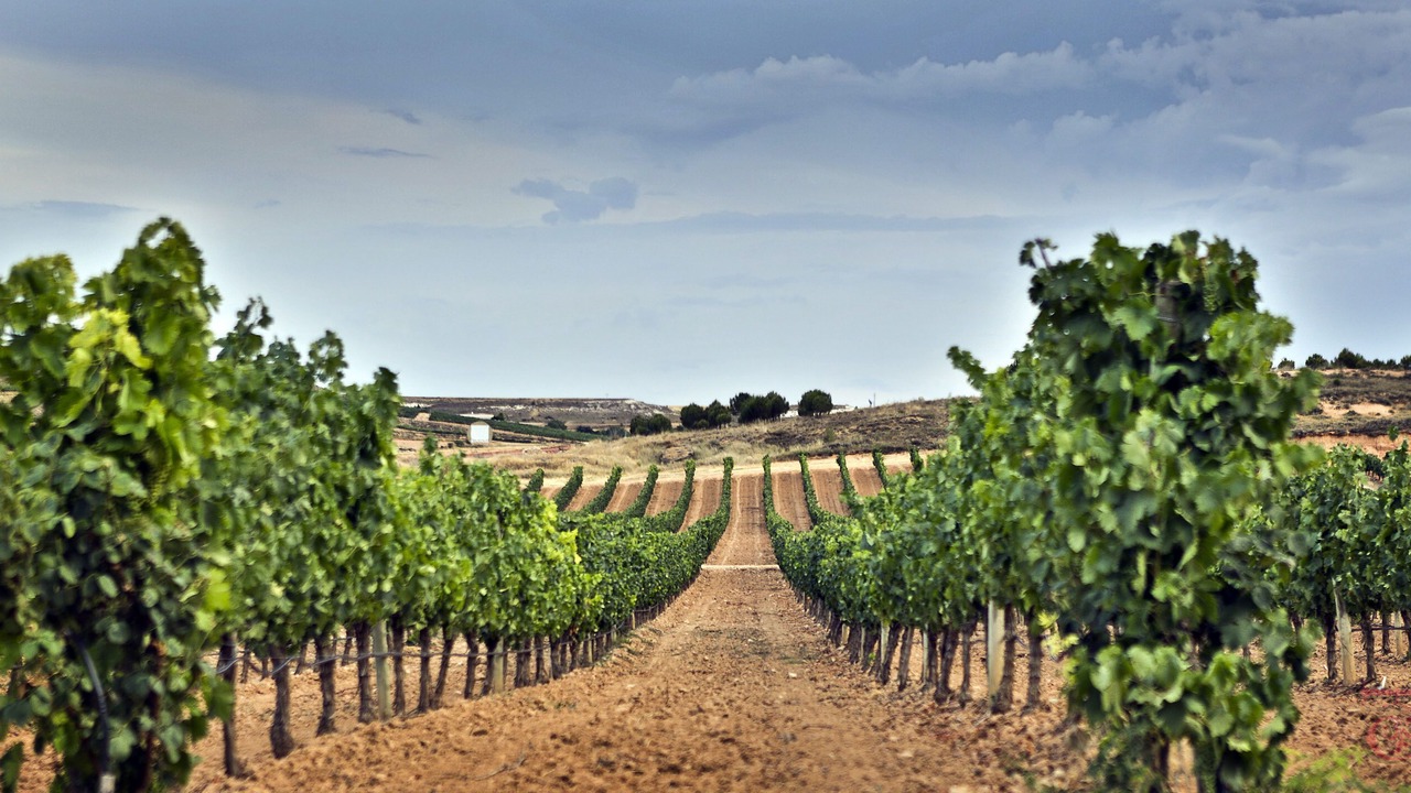 Photo of Outdoor in Fuentespina