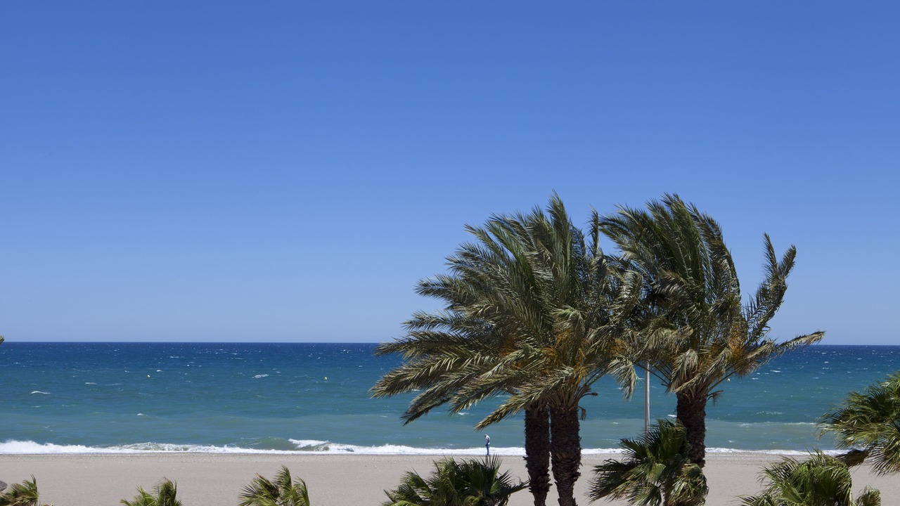 Photo of Others in Vera Beach