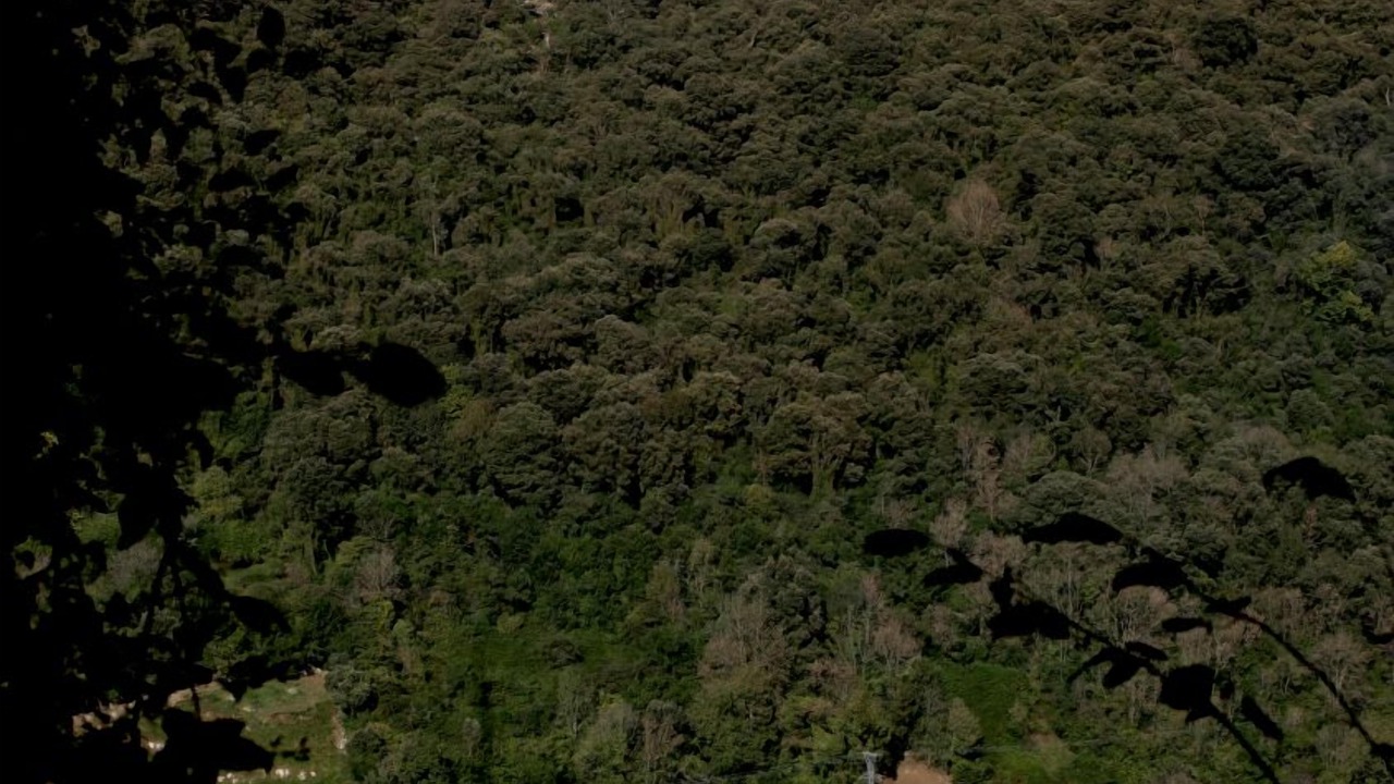 Photo of Outdoor in Treceno