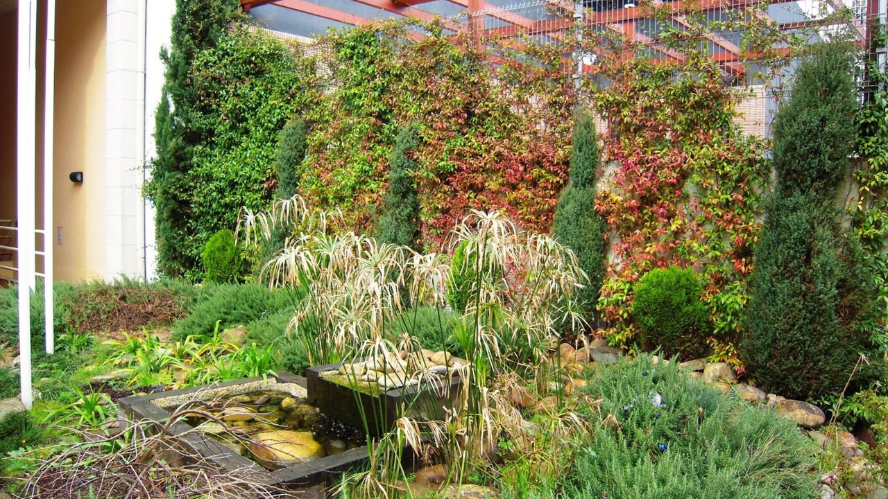 Photo of Outdoor in Lugo