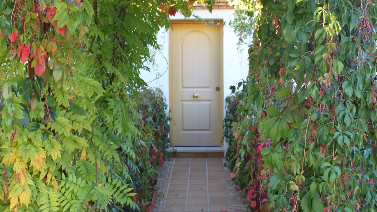 Photo of Outdoor in Torres