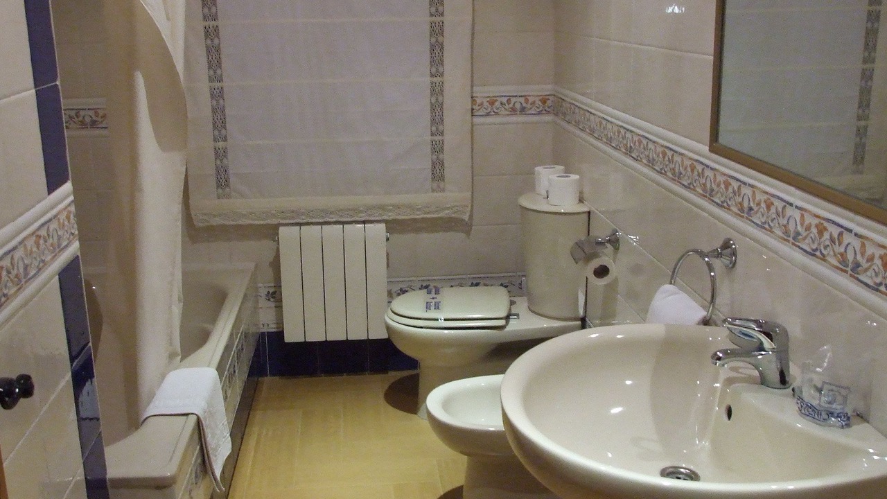Photo of Bathroom in Torres