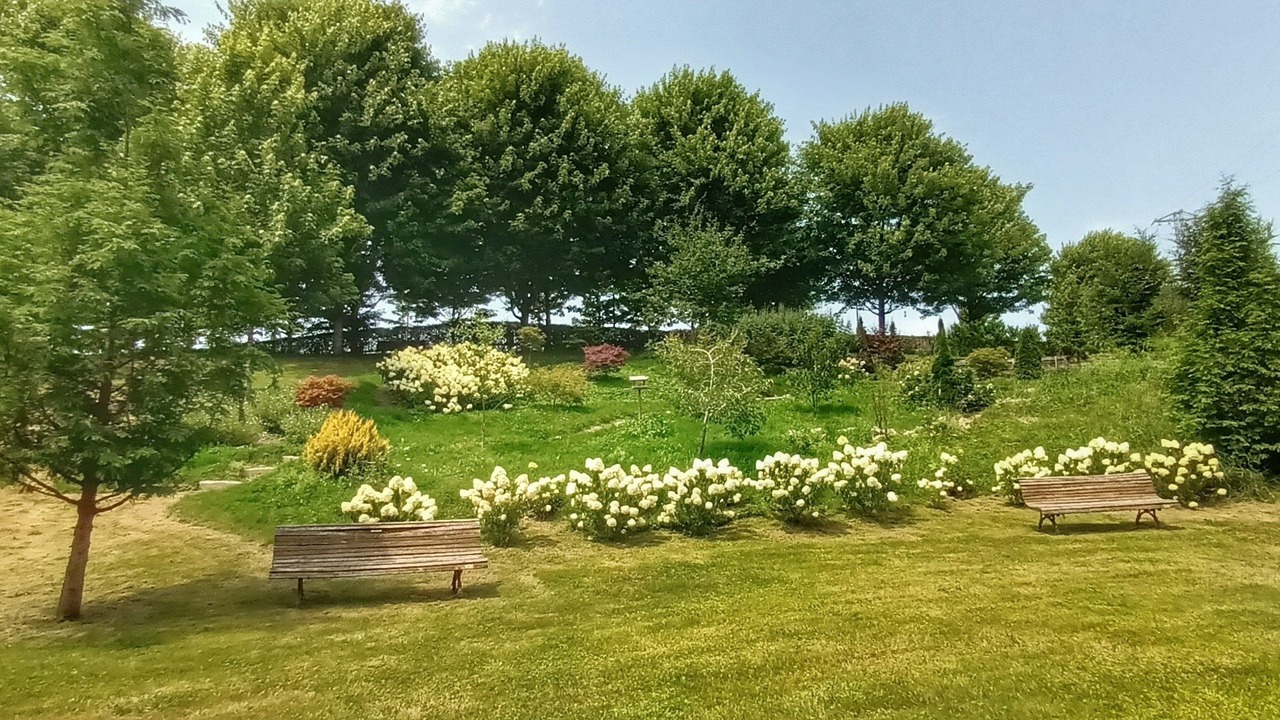 Photo of Outdoor in Tonanes