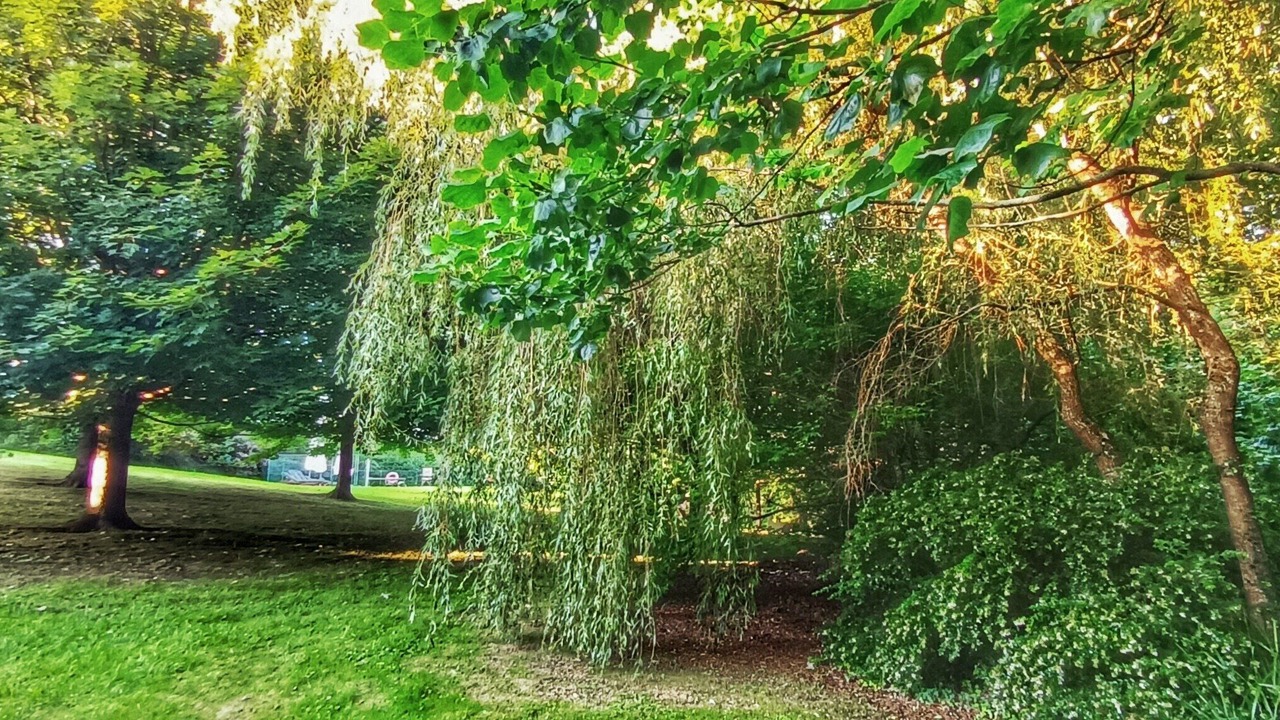 Photo of Outdoor in Tonanes