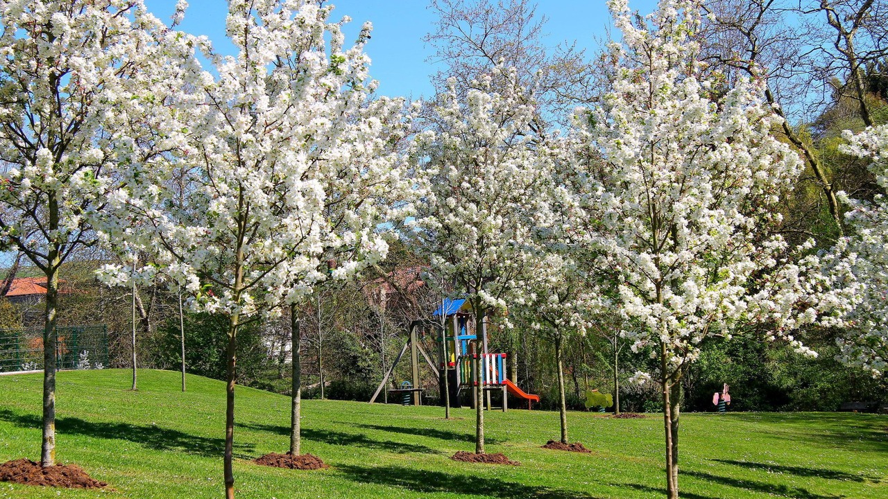 Photo of Outdoor in Tonanes