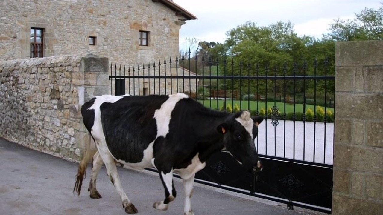 Photo of Others in Tonanes