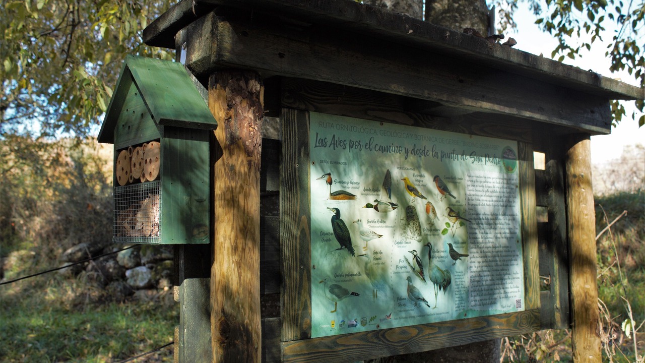 Photo of Outdoor in Gerbe