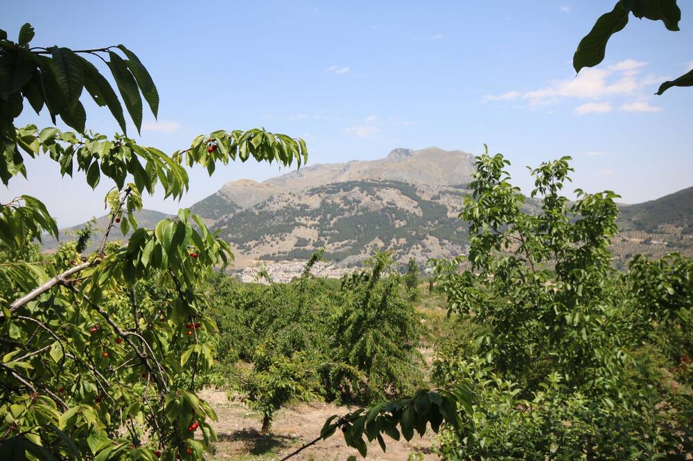 Photo of Outdoor in Torres