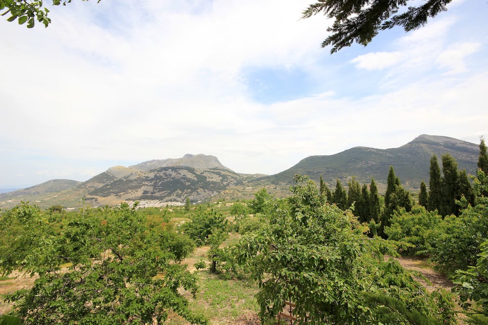 Photo of Outdoor in Torres