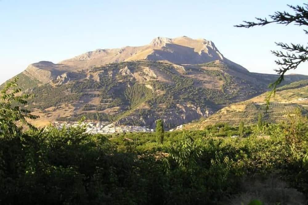 Photo of Outdoor in Torres