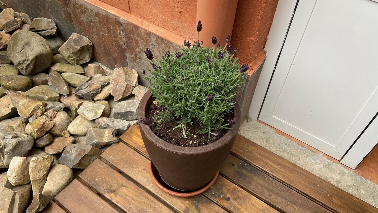 Photo of Outdoor in Molinaseca