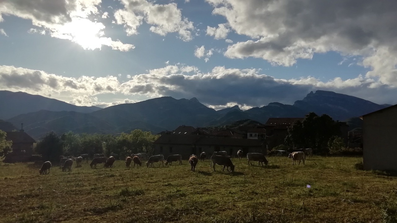Photo of Outdoor in Laspuna