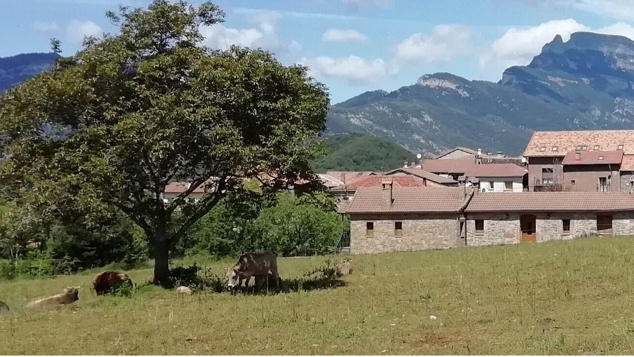 Photo of Outdoor in Laspuna