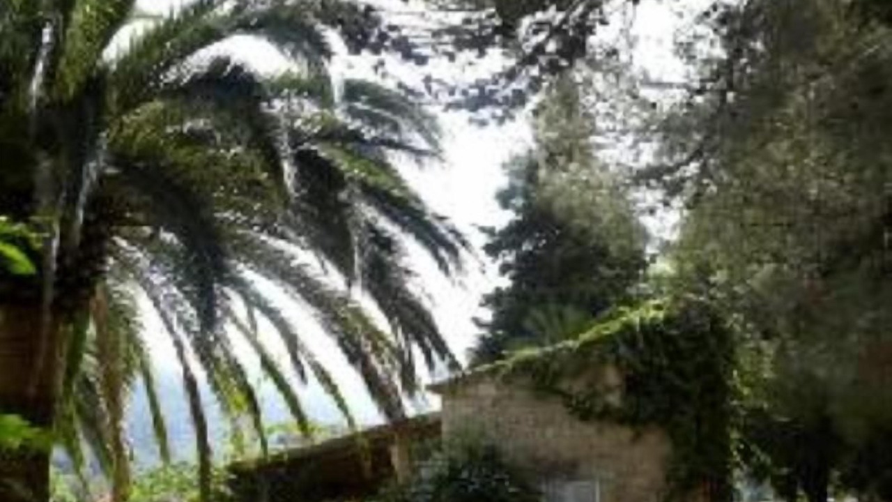 Photo of Outdoor in Pollensa