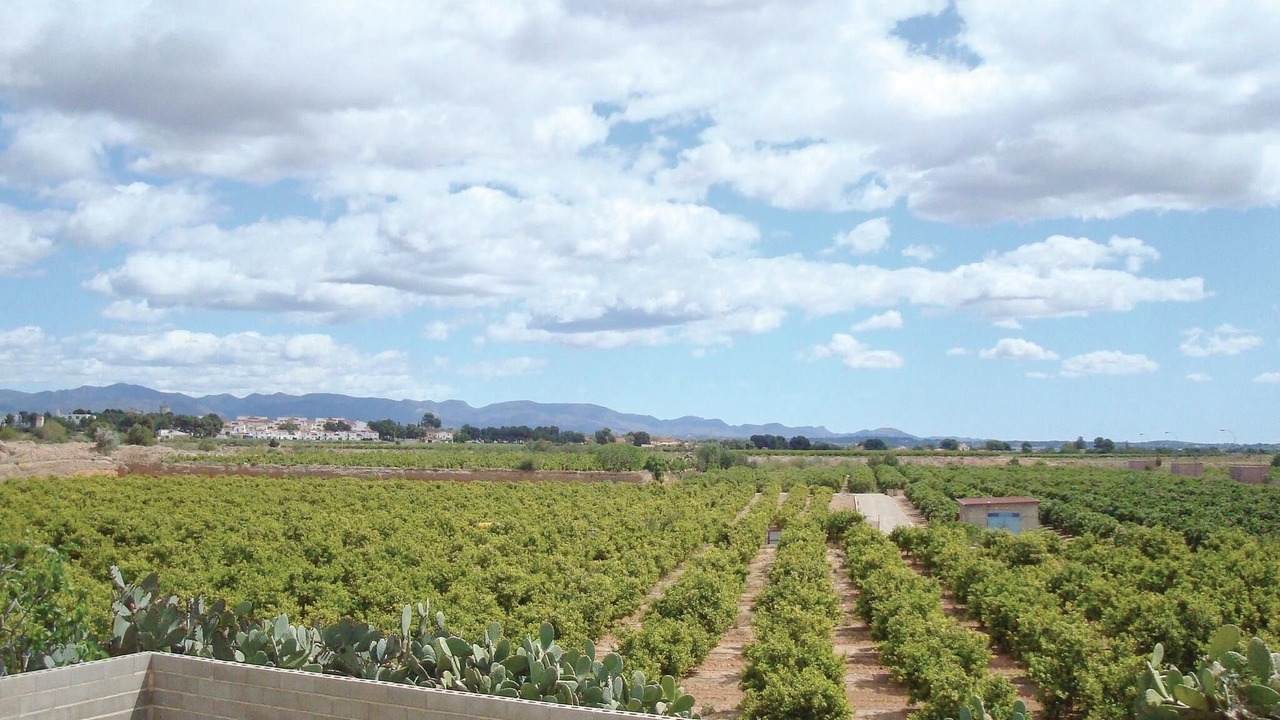 Photo of Others in Lliria