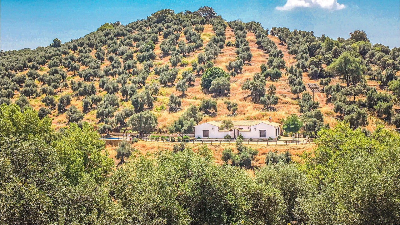 Photo of Outdoor in Villanueva del Rey