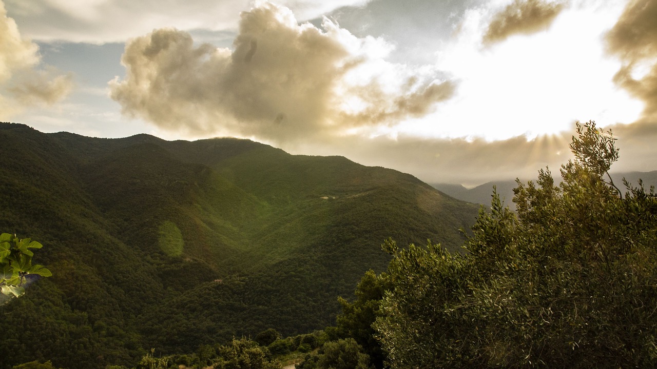 Photo of Others in Montseny