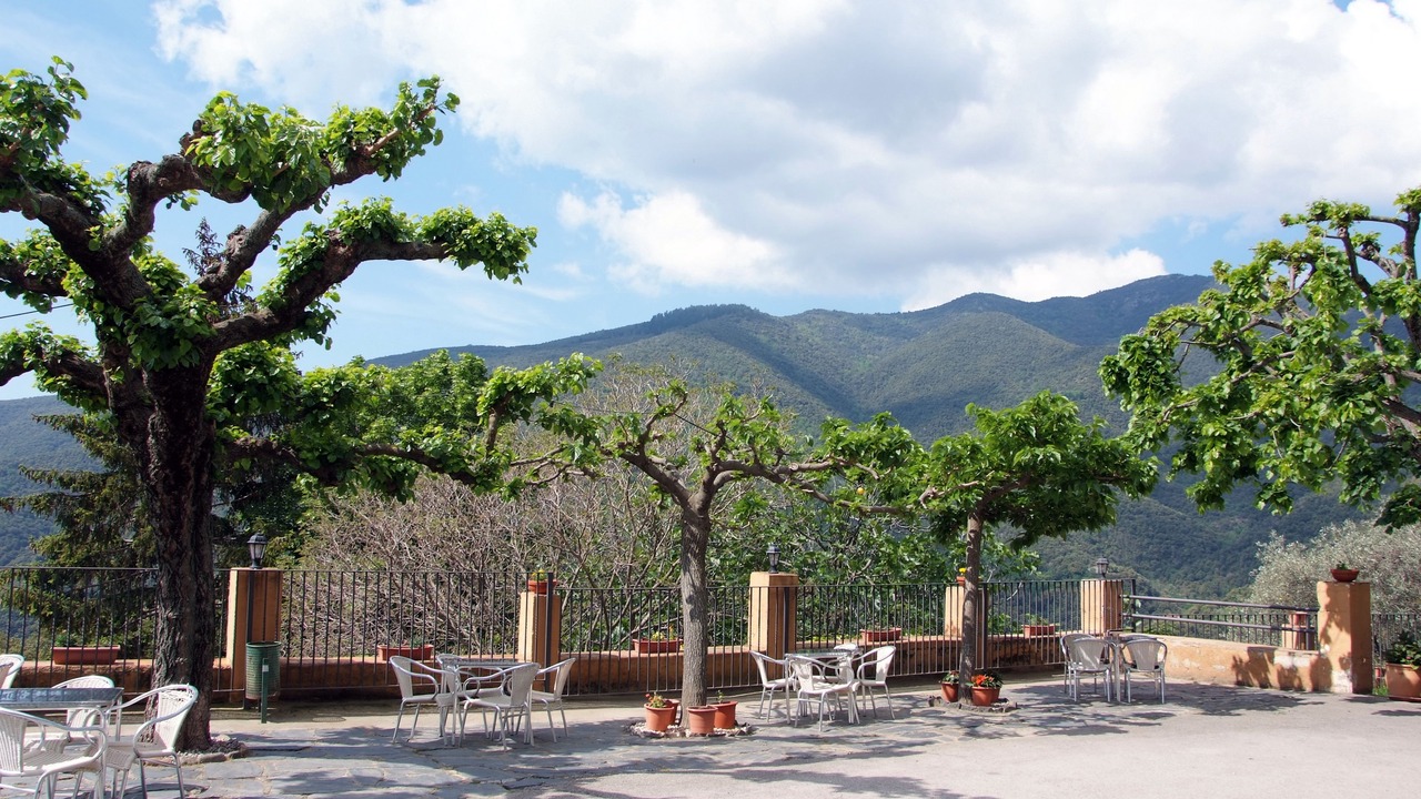 Photo of Outdoor in Montseny