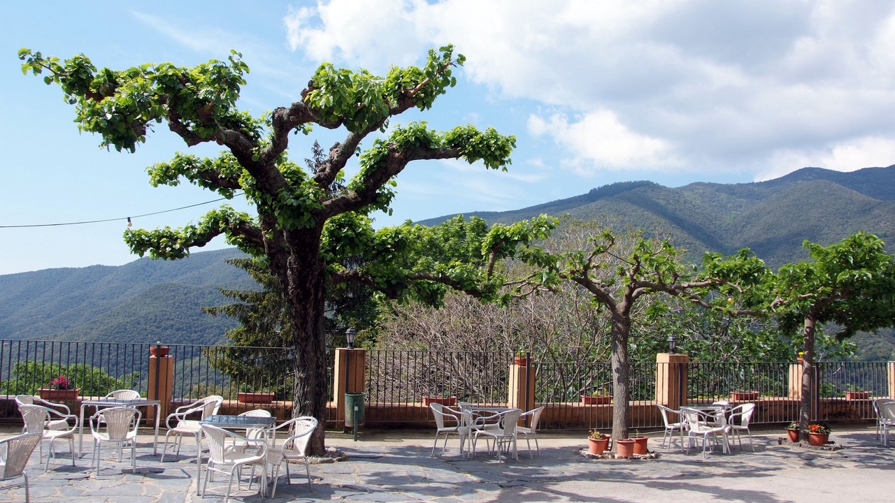 Photo of Others in Montseny