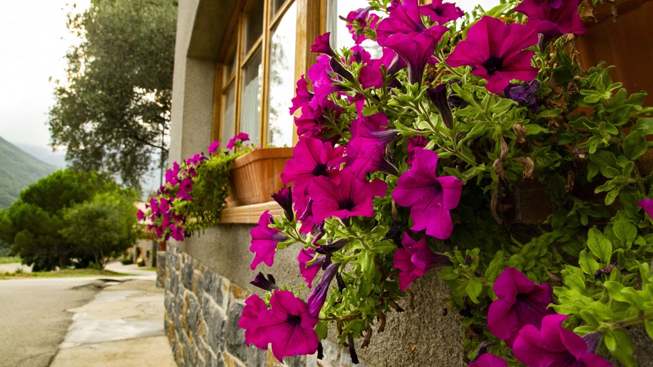 Photo of Others in Montseny