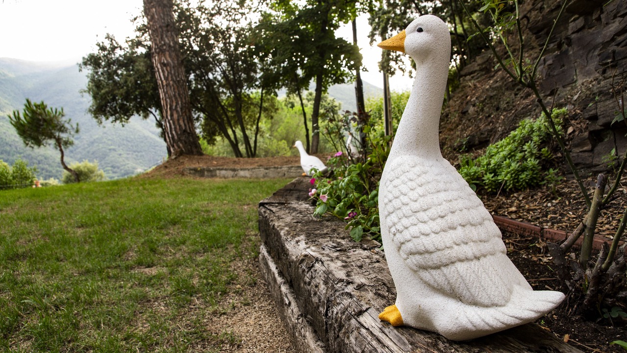 Photo of Outdoor in Montseny