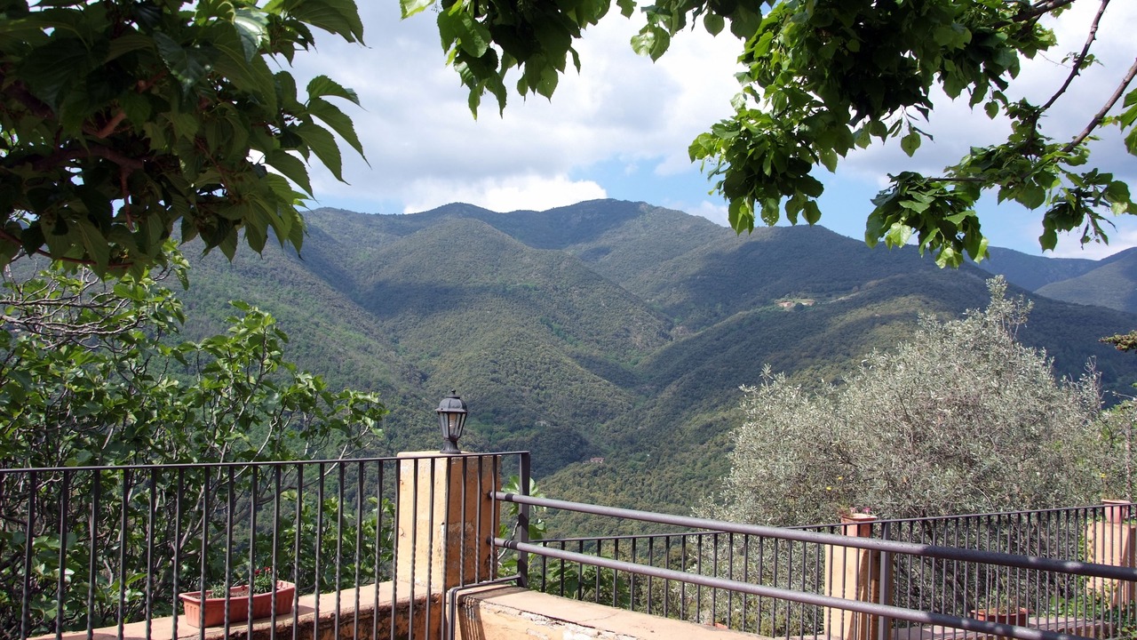 Photo of Others in Montseny