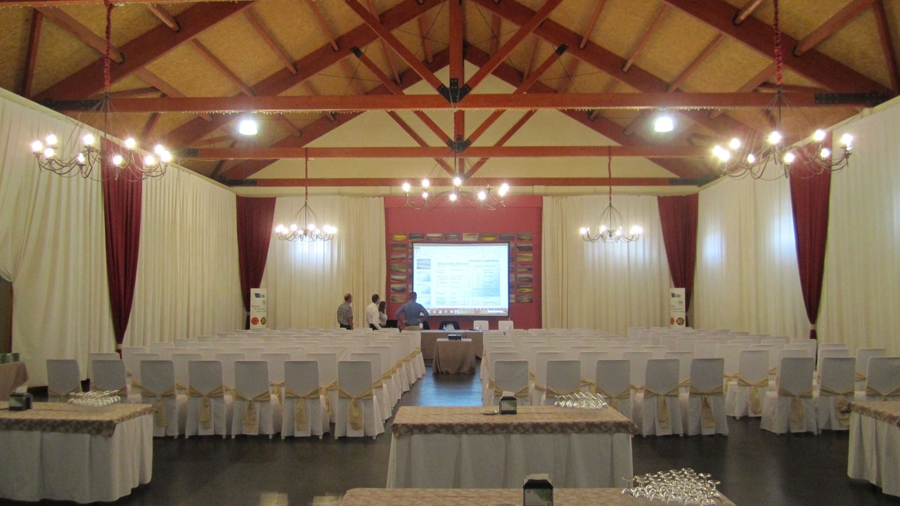 Photo of Others in Argamasilla de Alba
