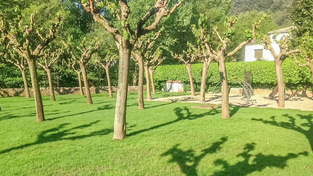 Photo of Outdoor in Osor