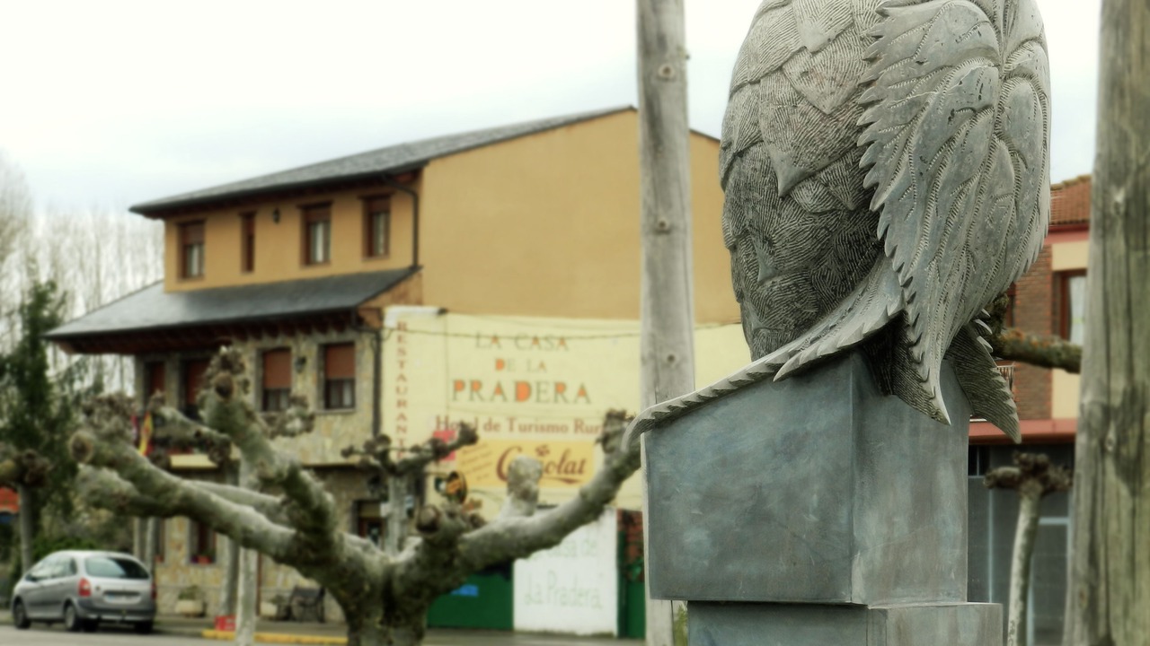 Photo of Outdoor in Carrizo De La Ribera
