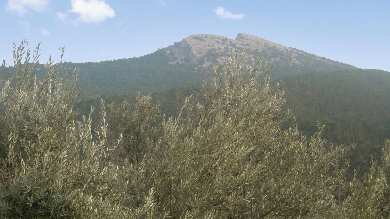 Photo of Outdoor in La Iruela