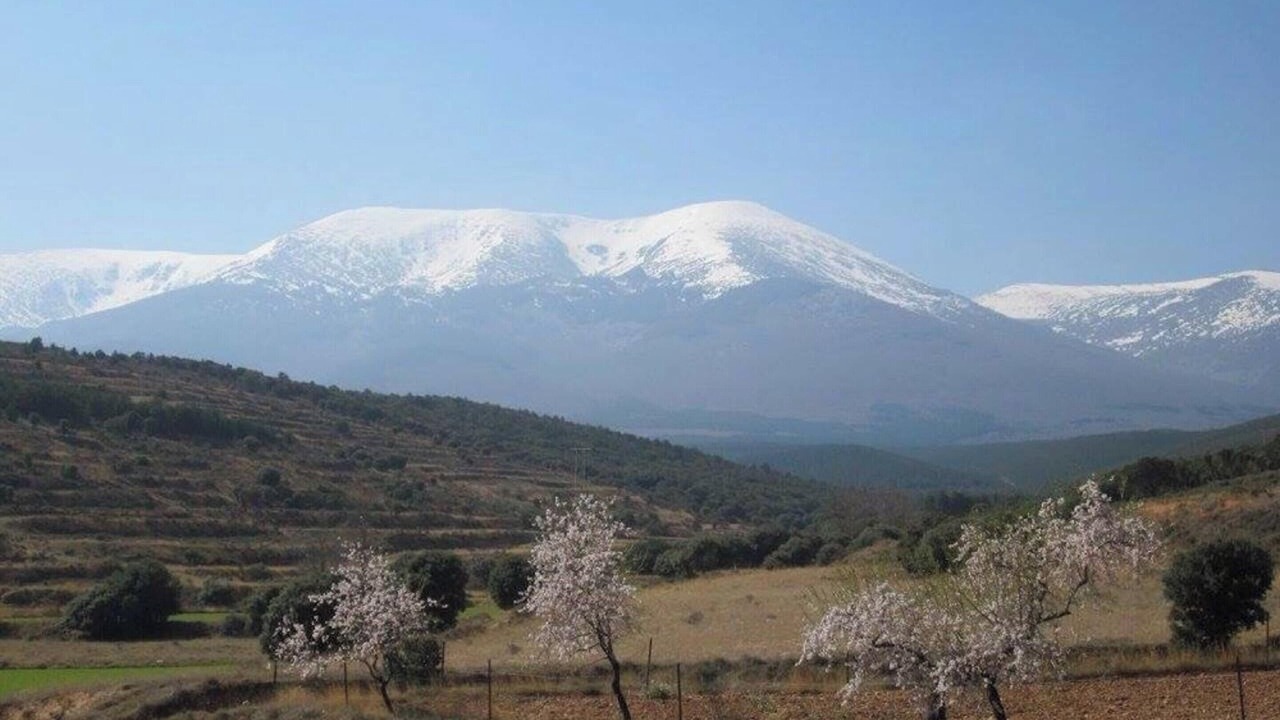 Photo of Others in Santa Cruz de Moncayo