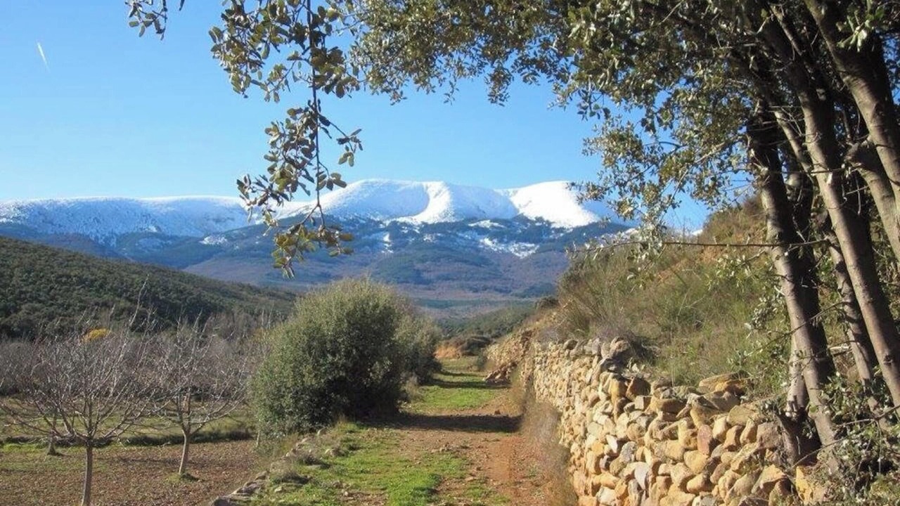 Photo of Others in Santa Cruz de Moncayo