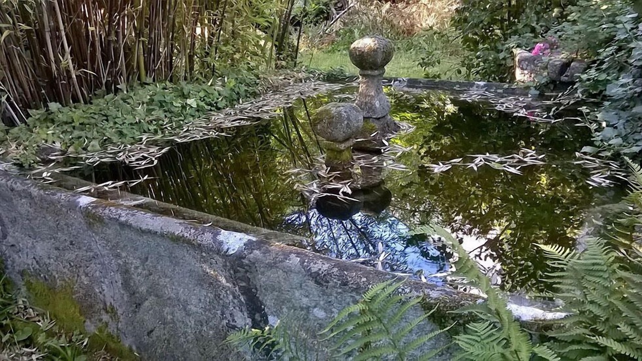 Photo of Outdoor in Puebla de Trives