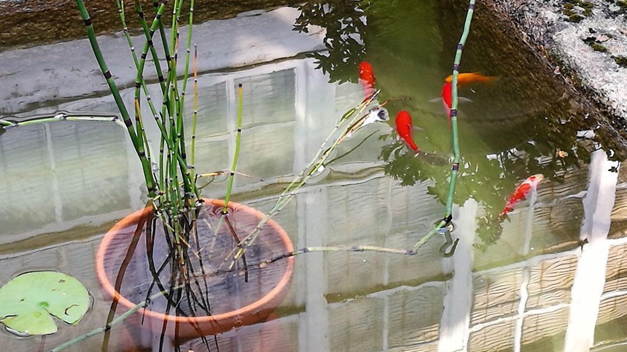Photo of Outdoor in Puebla de Trives