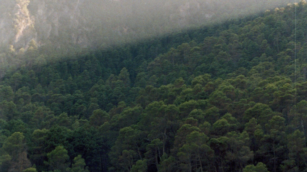 Photo of Outdoor in Villanueva del Arzobispo