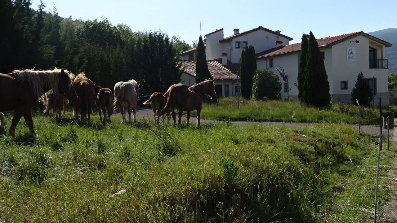 Photo of Others in Sotillo del Rincon