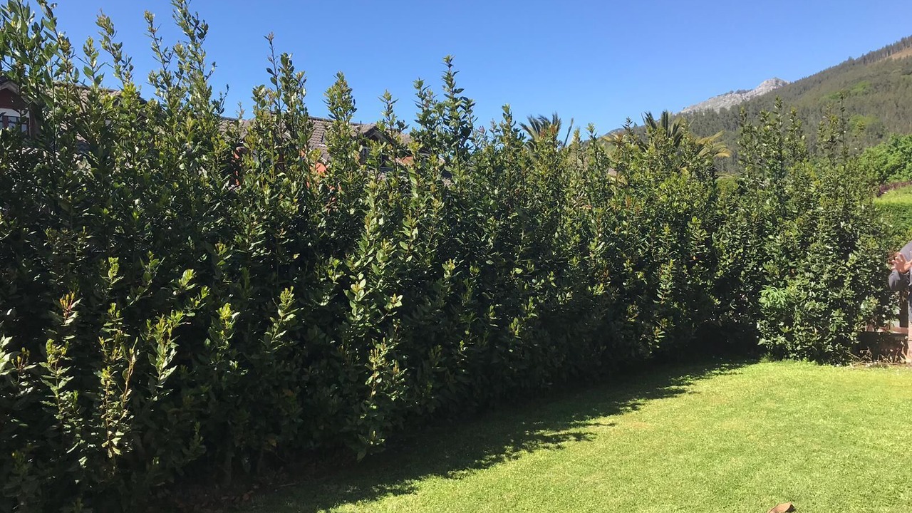 Photo of Outdoor in Guriezo