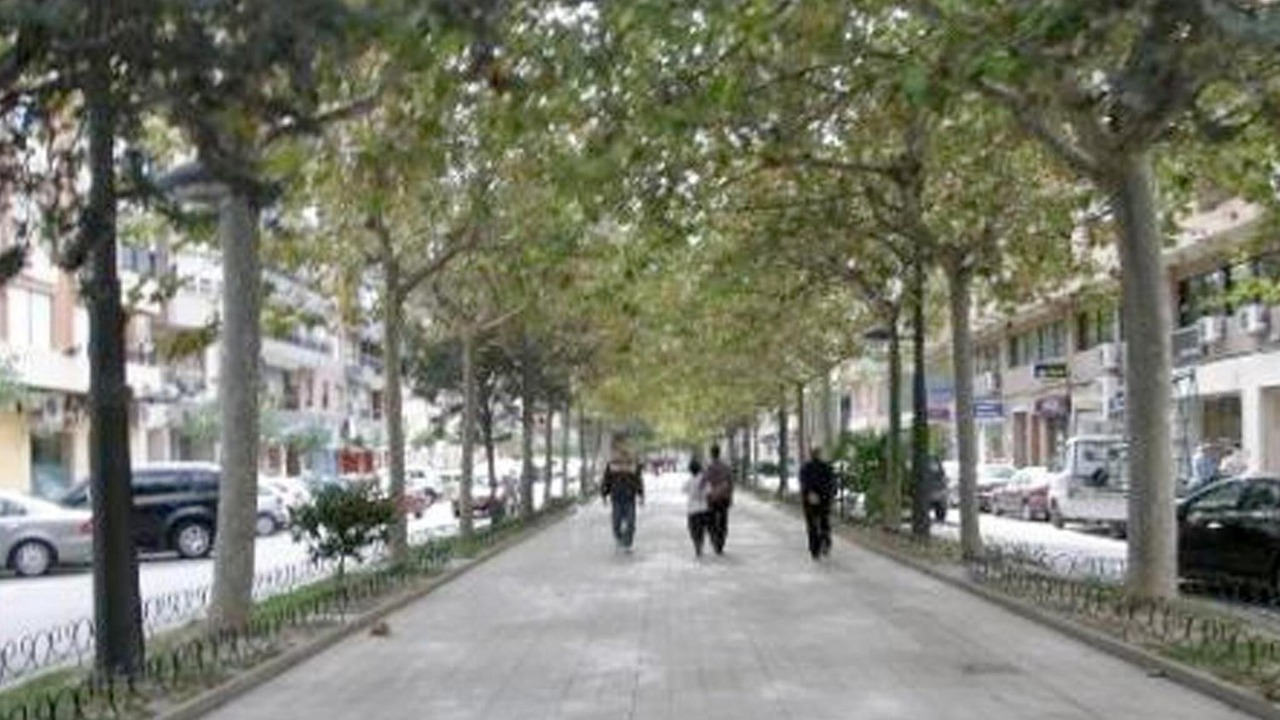 Photo of Outdoor in Orihuela