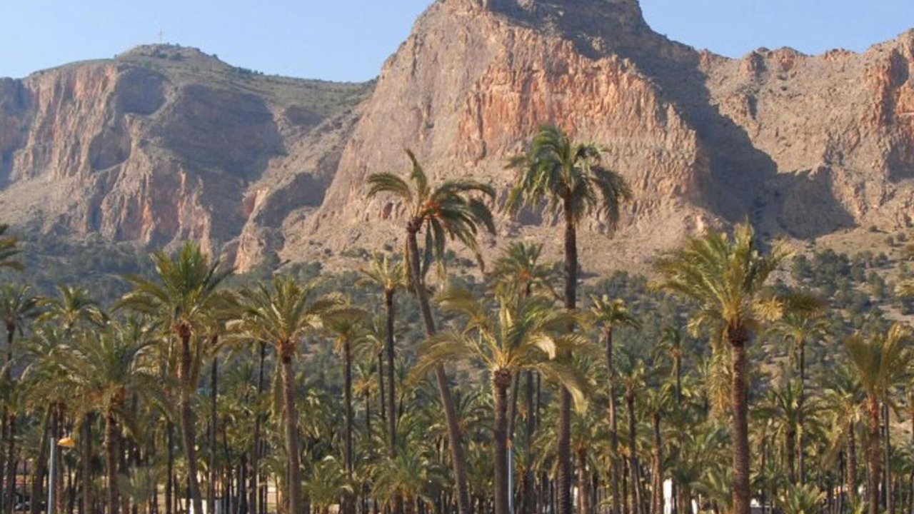 Photo of Others in Orihuela