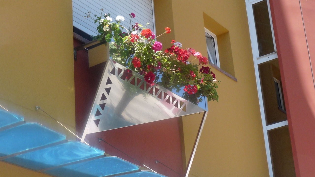 Photo of Others in Vilanova I la Geltru