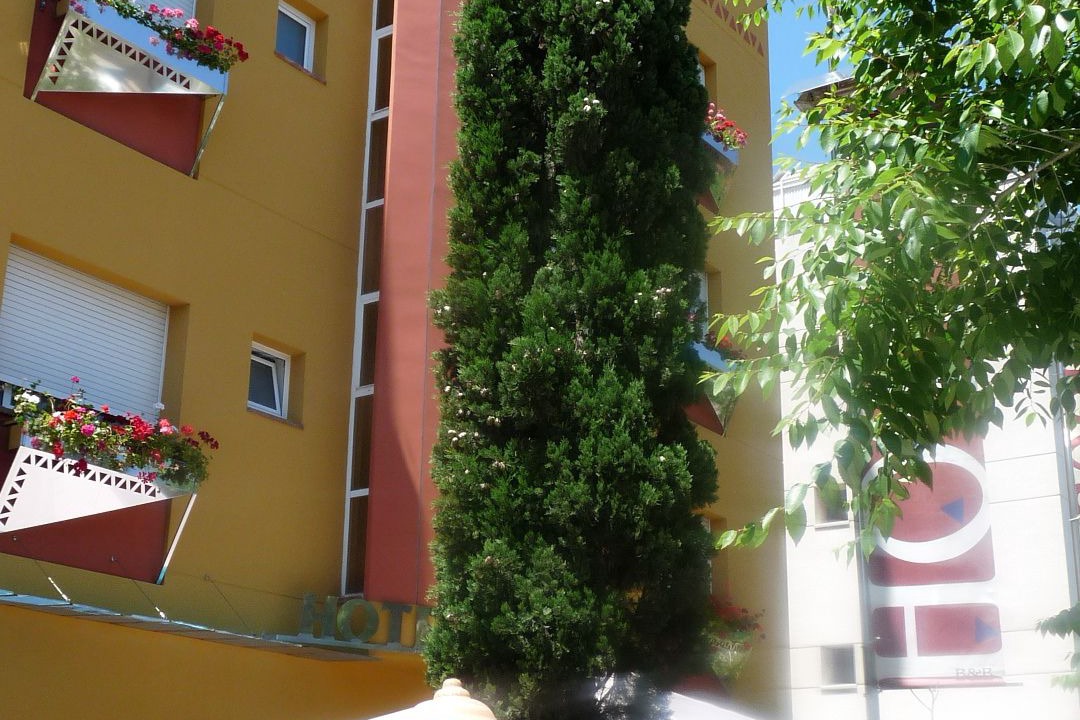 Photo of Others in Vilanova I la Geltru