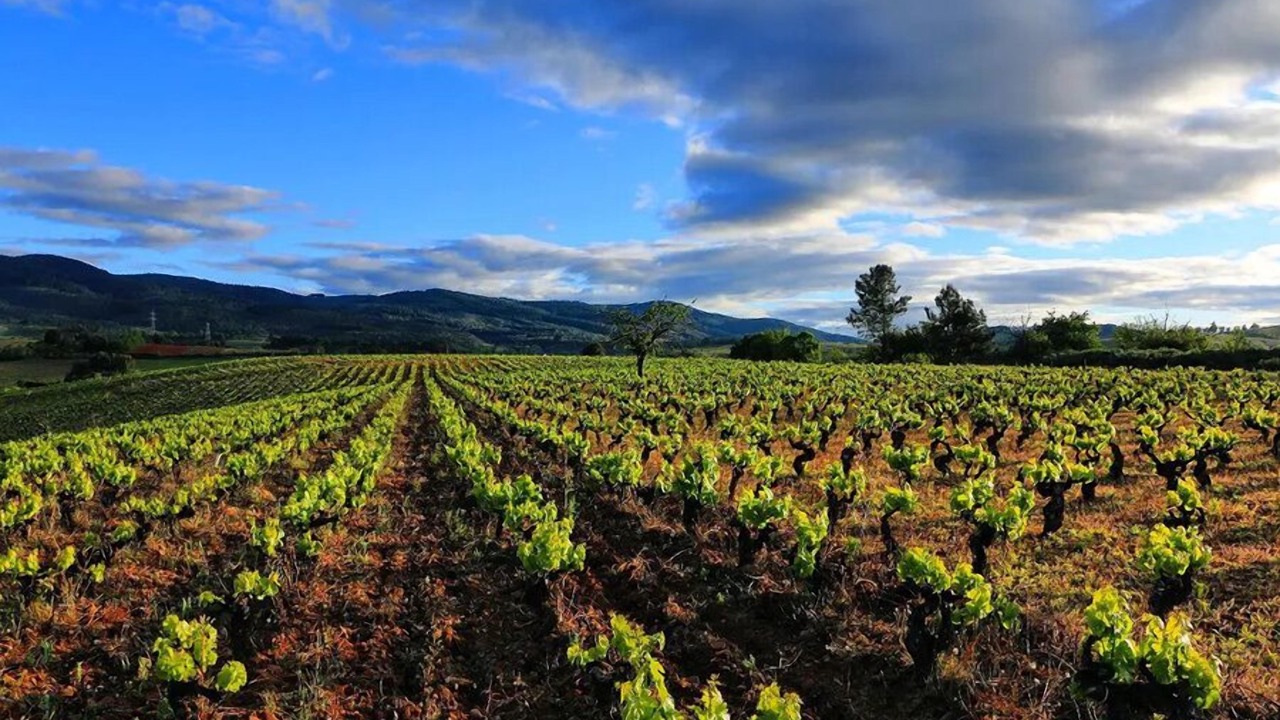 Photo of Others in Villafranca del Bierzo
