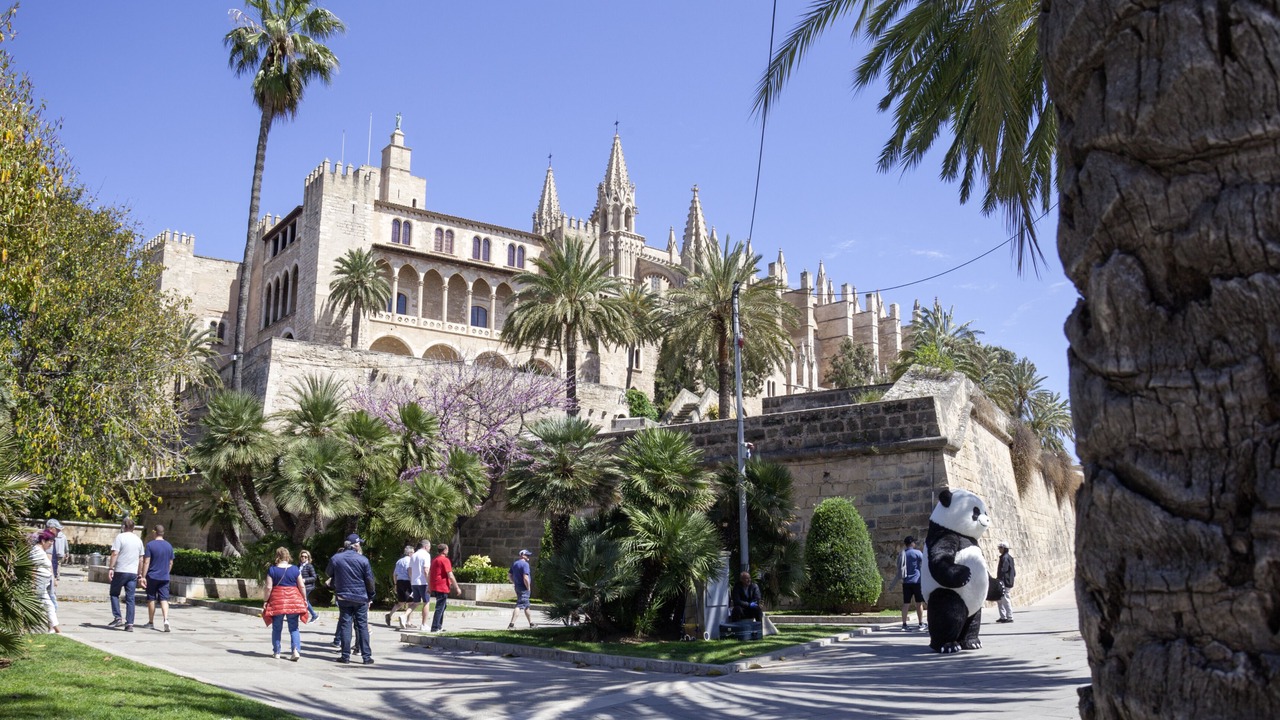 Photo of Outdoor in Costa de la Calma