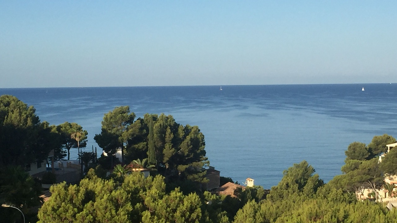 Photo of Others in Costa de la Calma