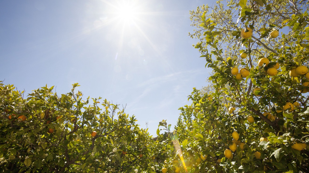 Photo of Outdoor in Costa de la Calma