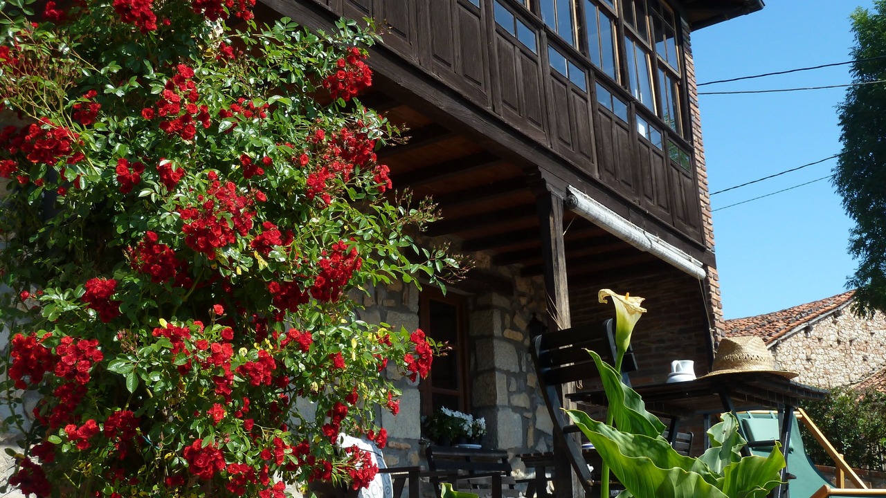 Photo of Outdoor in Pandiello