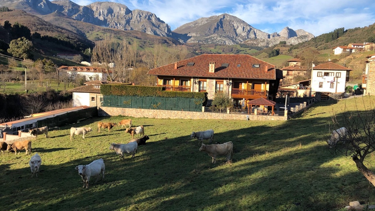 Photo of Patio Balcony in Cillorigo de Liebana