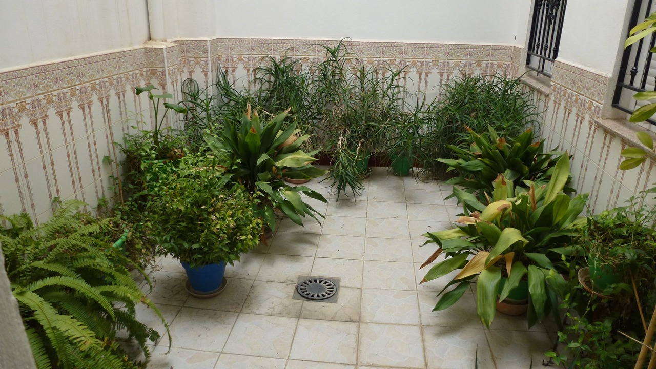 Photo of Outdoor in Pozo Alcon