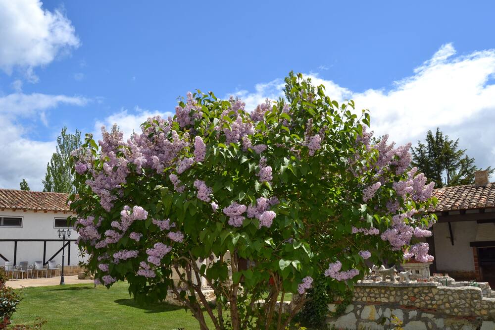Photo of Outdoor in Poblacion de Campos