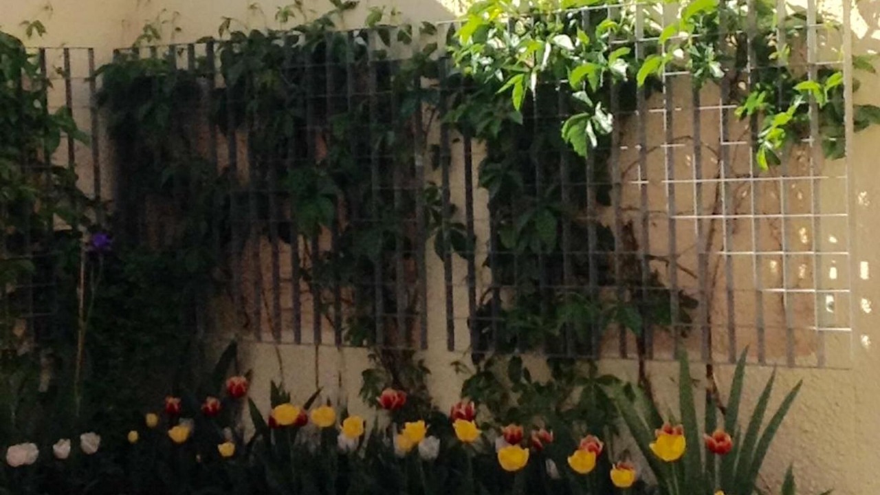 Photo of Patio Balcony in Valdepenas